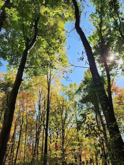 T.K Lawless Park - Vandalia,