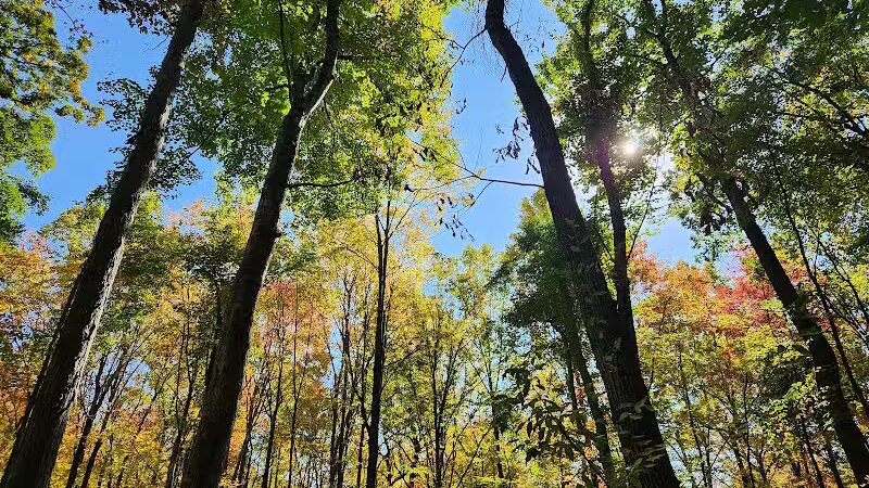 T.K Lawless Park - Vandalia,