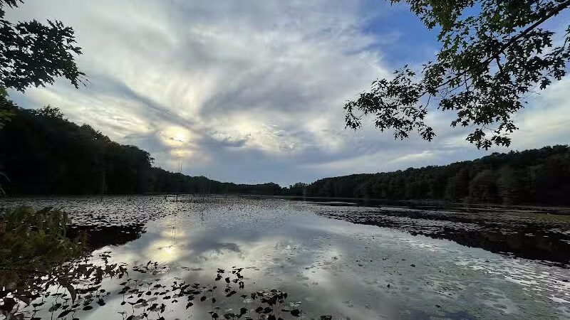 T.K Lawless Park - Vandalia,