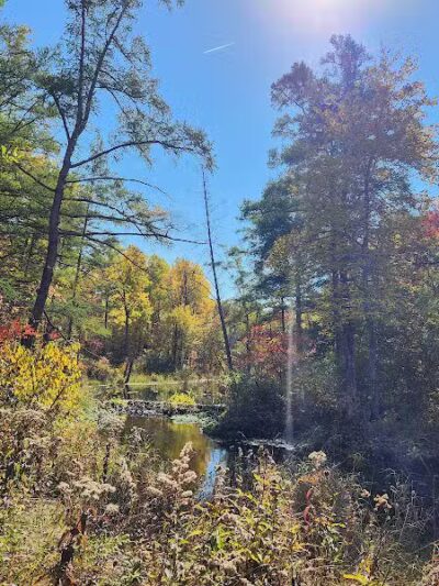 T.K Lawless Park - Vandalia,