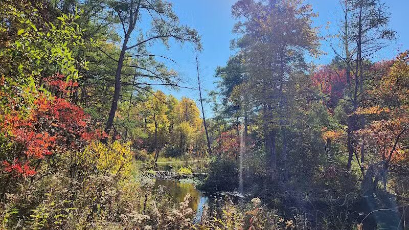 T.K Lawless Park - Vandalia,