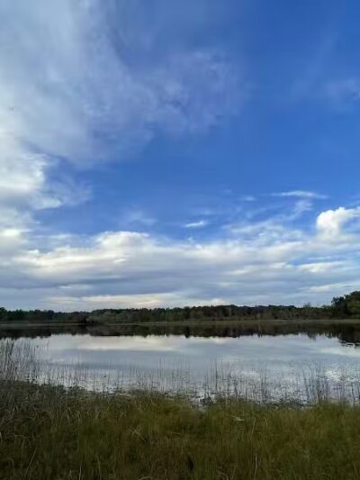 T.K Lawless Park - Vandalia,