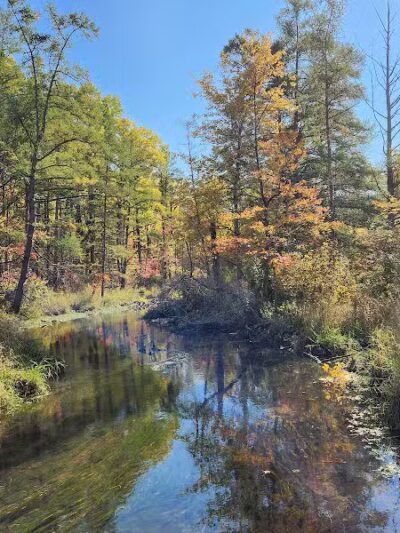 T.K Lawless Park - Vandalia,