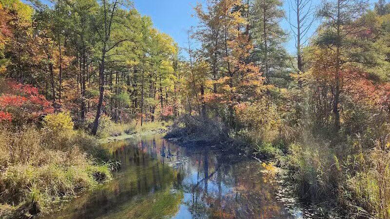 T.K Lawless Park - Vandalia,