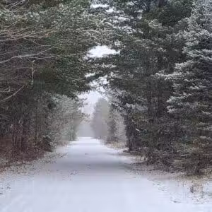 Vanderbilt Trailhead Park - Vanderbilt, MI