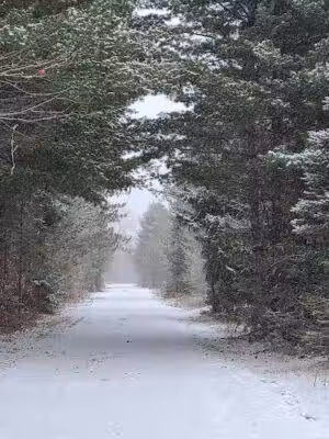 Vanderbilt Trailhead Park - Vanderbilt, MI