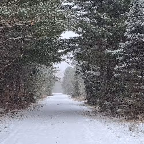 Vanderbilt Trailhead Park - Vanderbilt, MI