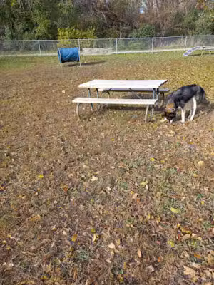 Cotton Park Dog Park - Vermillion, SD