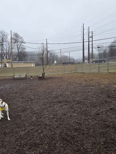 Saxony Dog Park - Vernon, CT