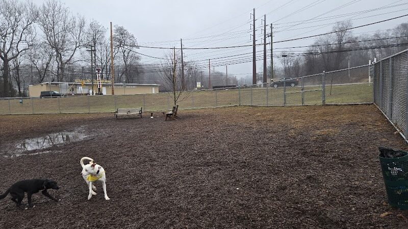 Saxony Dog Park - Vernon, CT
