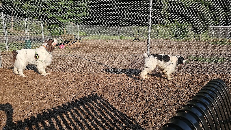 Saxony Dog Park - Vernon, CT