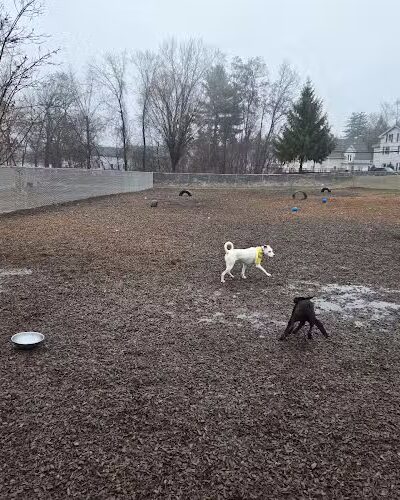 Saxony Dog Park - Vernon, CT