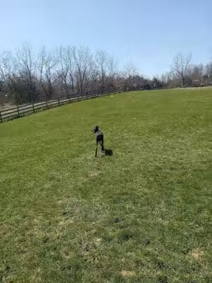 Vernon Dog Park - Vernon Township,