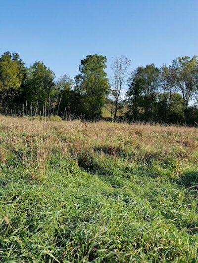 Vernon Dog Park - Vernon Township, NJ