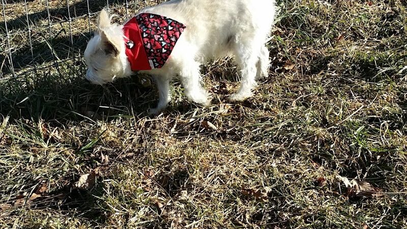 Vernon Dog Park - Vernon Township, NJ