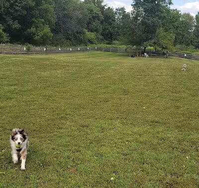 Vernon Dog Park - Vernon Township, NJ