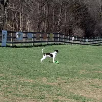 Vernon Dog Park - Vernon Township,
