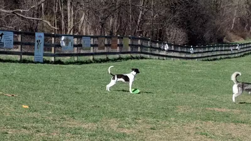 Vernon Dog Park - Vernon Township,