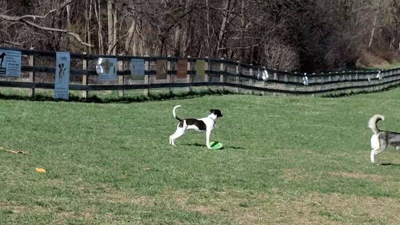 Vernon Dog Park - Vernon Township,