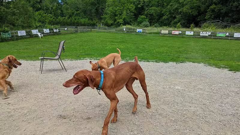 Vernon Dog Park - Vernon Township,