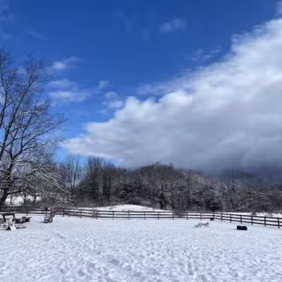 Vernon Dog Park - Vernon Township,