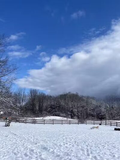 Vernon Dog Park - Vernon Township,