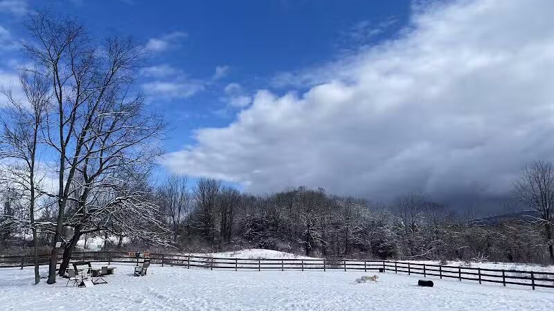 Vernon Dog Park - Vernon Township,