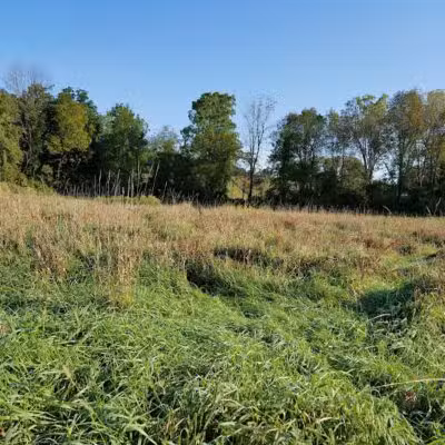 Vernon Dog Park - Vernon Township,