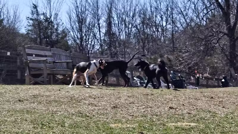 Vernon Dog Park - Vernon Township,