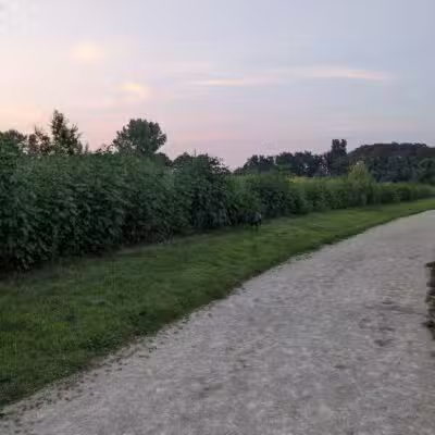 Badger Prairie Dog Park - Verona, WI