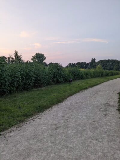 Badger Prairie Dog Park - Verona, WI