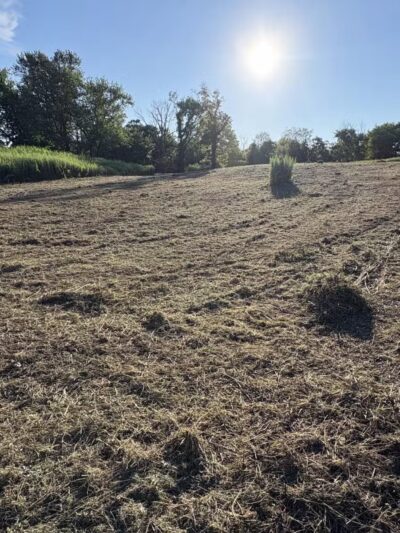 Hilltop Reservation - Verona, NJ