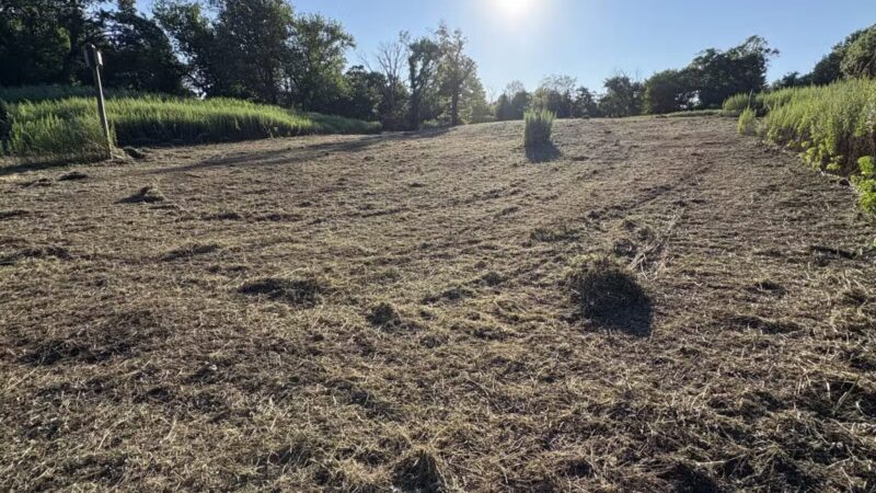 Hilltop Reservation - Verona, NJ