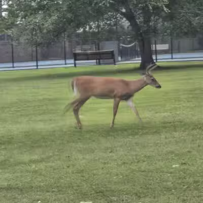 Verona Park - Verona, NJ