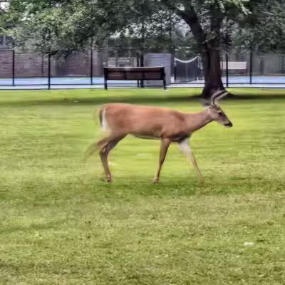 Verona Park - Verona, NJ