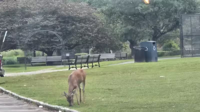 Verona Park - Verona, NJ