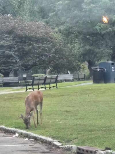 Verona Park - Verona, NJ