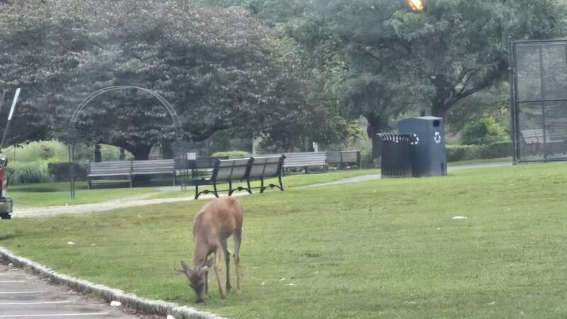 Verona Park - Verona, NJ
