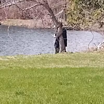 Clark Park - Vicksburg,