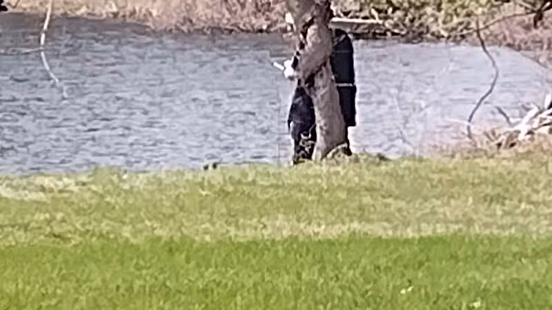 Clark Park - Vicksburg,