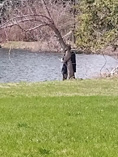 Clark Park - Vicksburg,