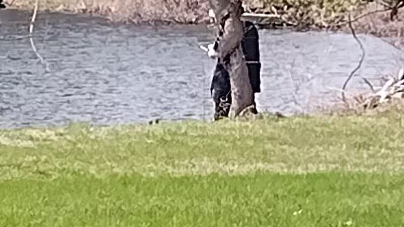 Clark Park - Vicksburg,