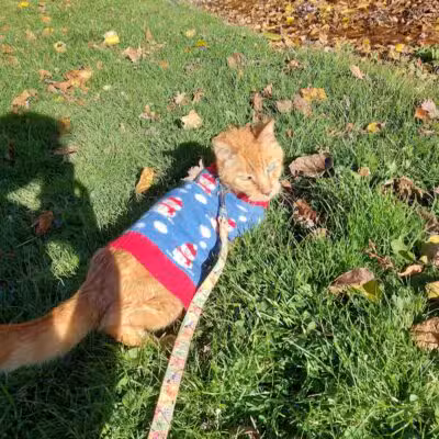 Clark Park - Vicksburg,