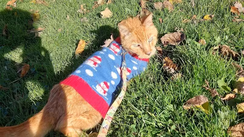 Clark Park - Vicksburg,