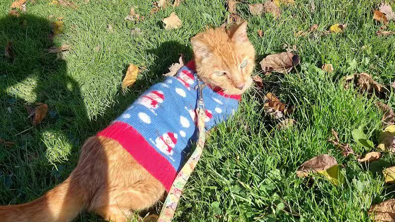 Clark Park - Vicksburg,