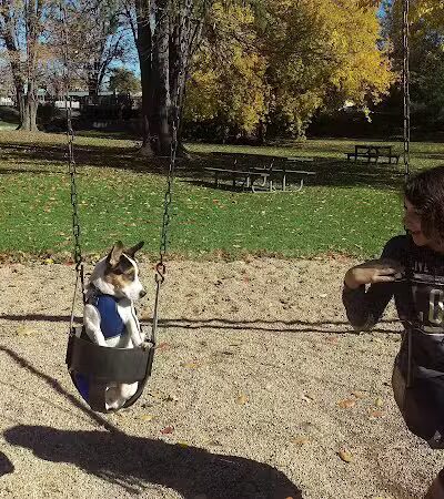 Clark Park - Vicksburg,