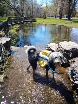 Clark Park - Vicksburg,