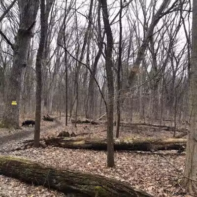 Prairie View County Park - Vicksburg,