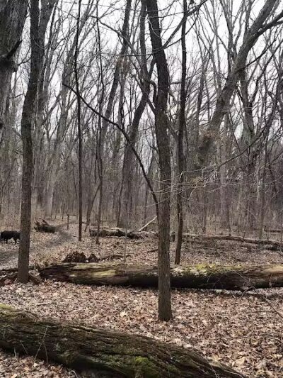 Prairie View County Park - Vicksburg,