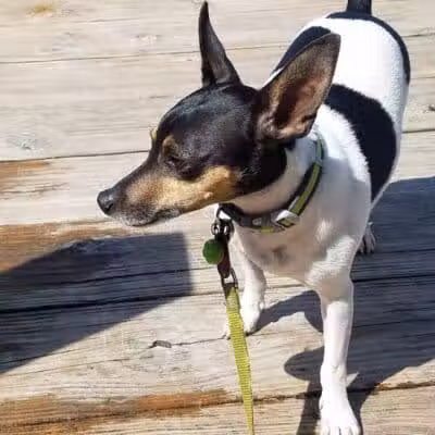 Prairie View County Park - Vicksburg,